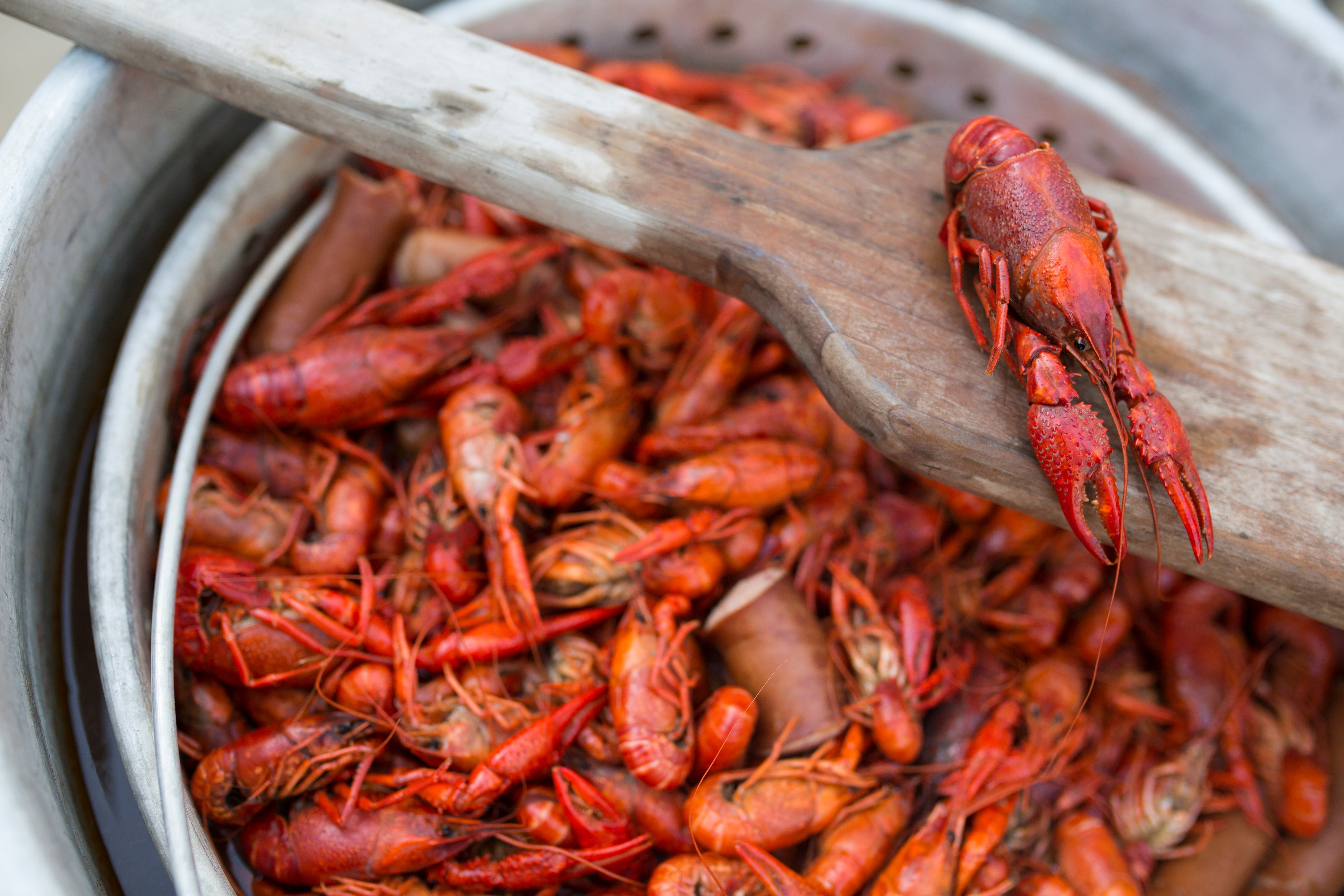 Crawfish Boil