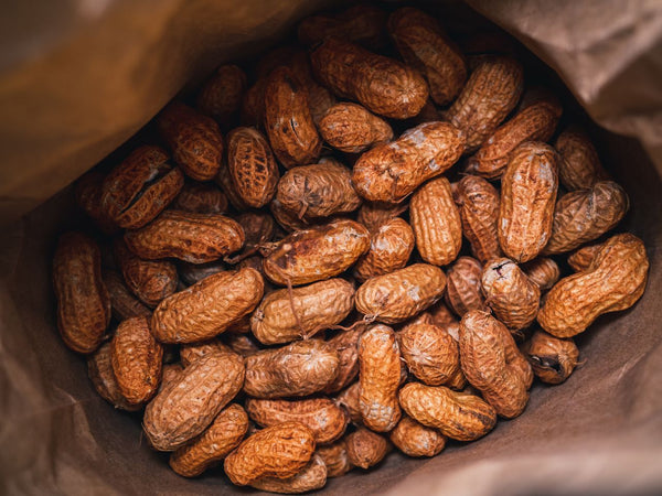End result of how to properly make boiled peanuts