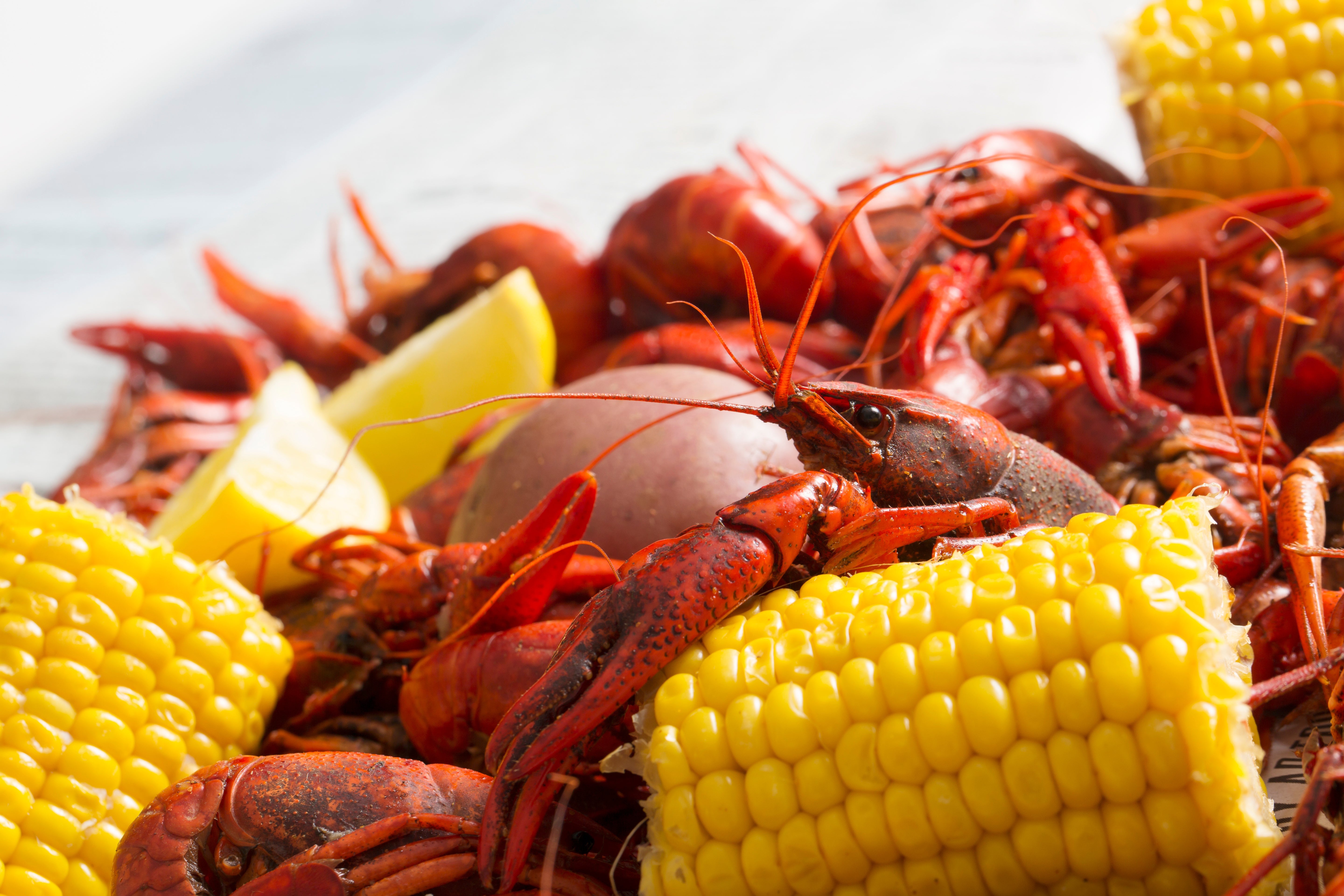 boiled crawfish and corn cobs