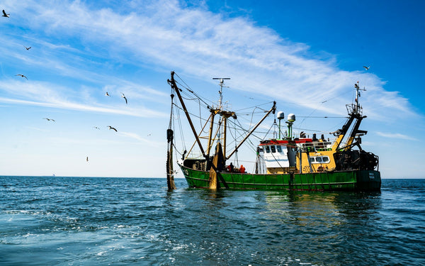 A green and yellow commercial fishing trawler floating on choppy blue ocean water with fishing nets raised on its rigging, as seagulls fly in the bright, sunny sky above.