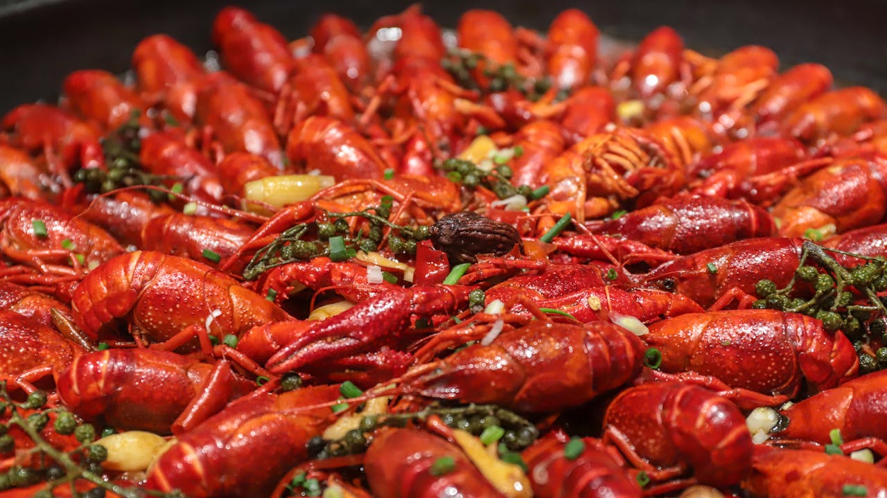 Clean crawfish in a Louisiana crawfish boil