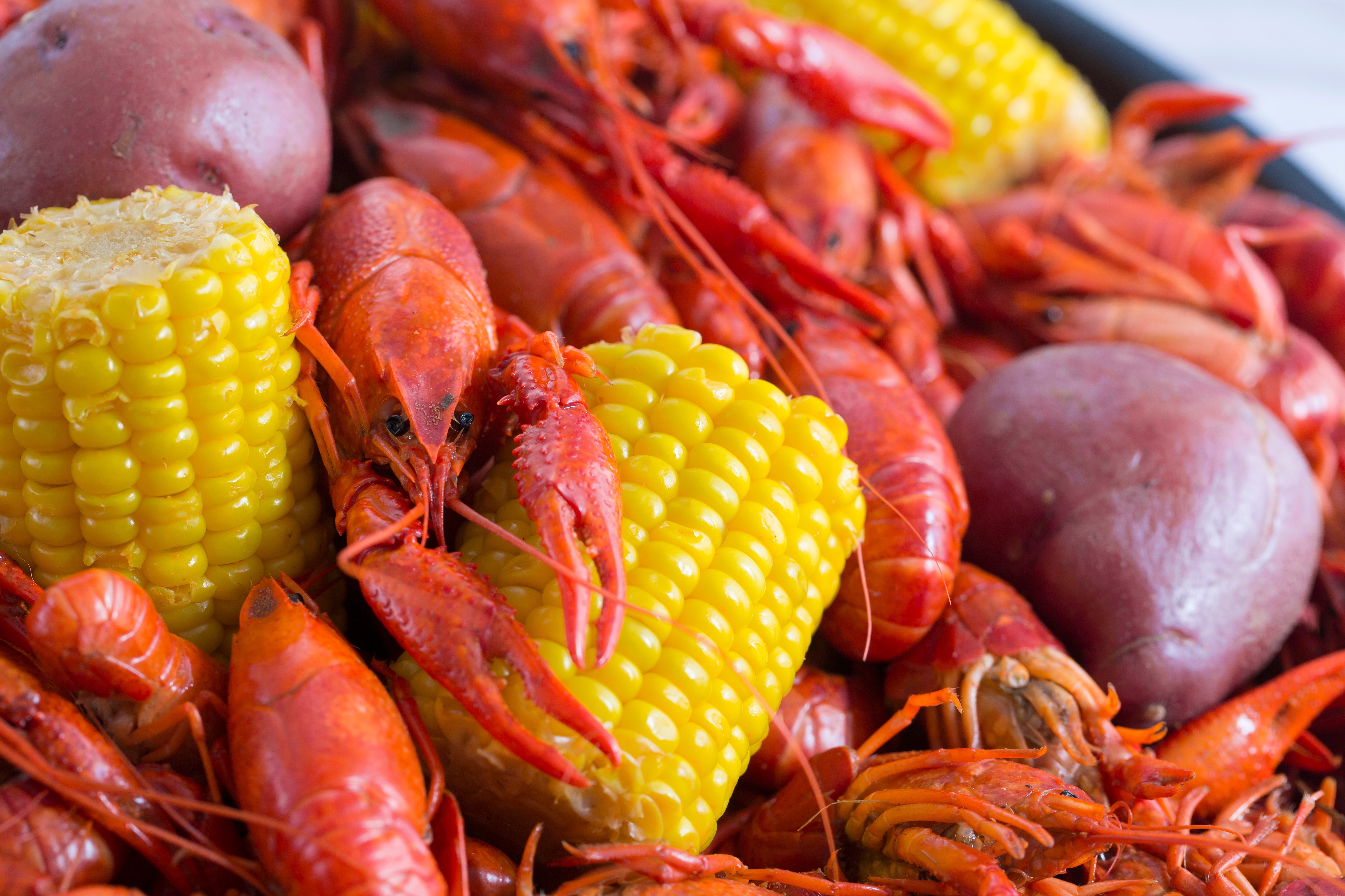 Clean crawfish in a Louisiana crawfish boil