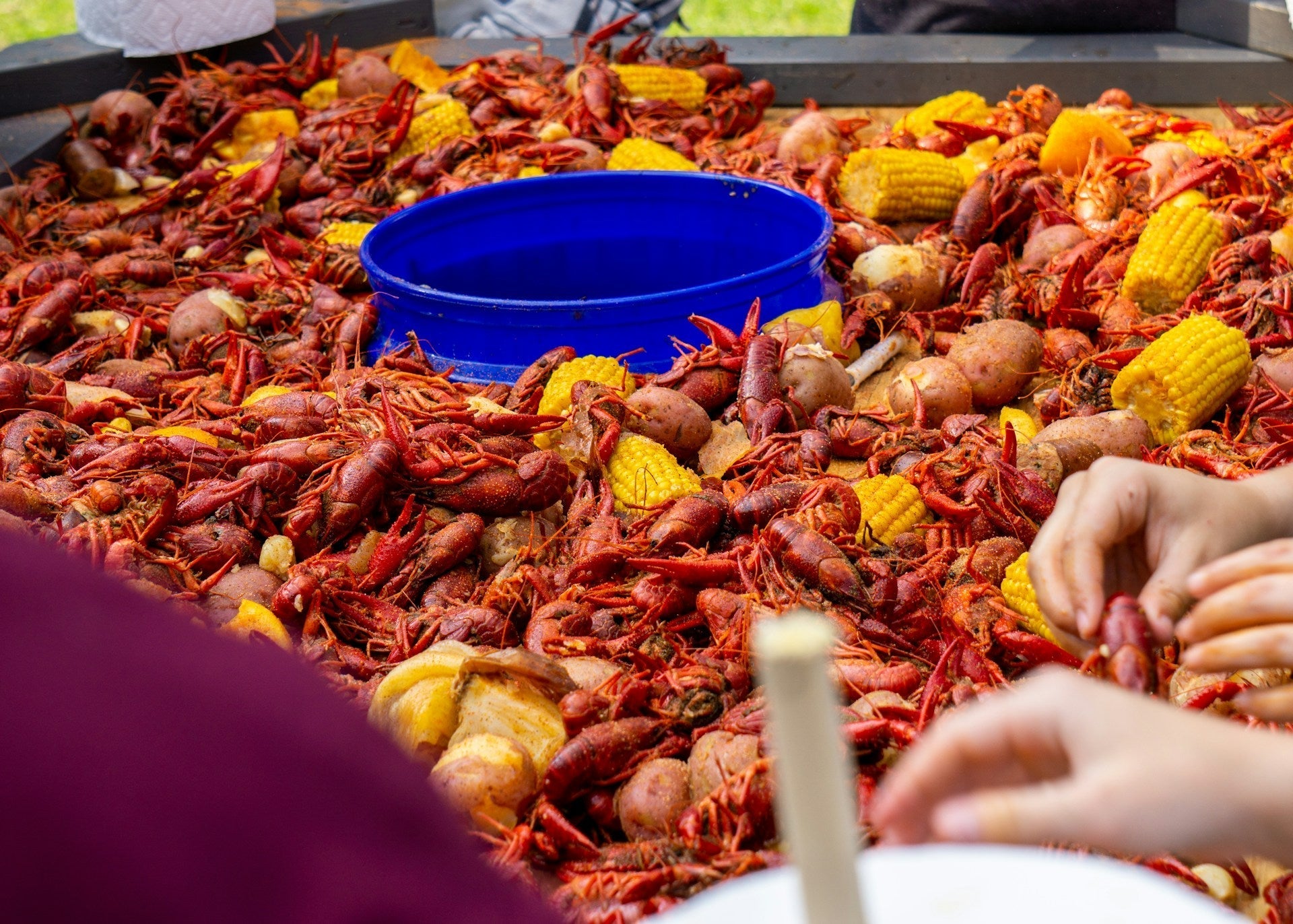 A Mardi Gras crawfish boil