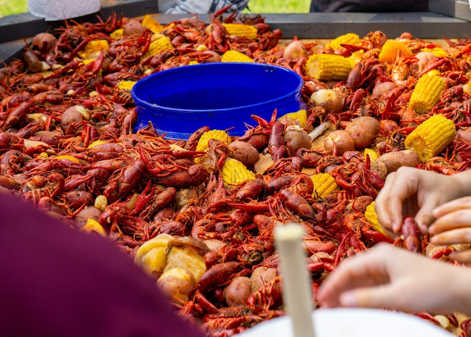A Mardi Gras crawfish boil
