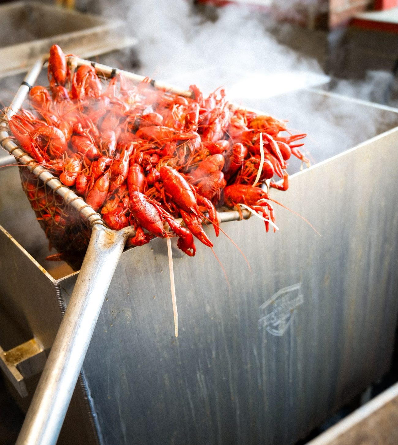 A basket of boiled crawfish lifted steaming out of a High Performance Cookers commercial boiler
